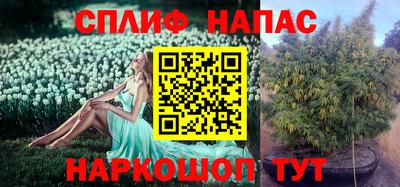 спайс Кулебаки