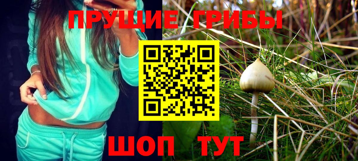 Галлюциногенные грибы Magic Shrooms Зеленокумск