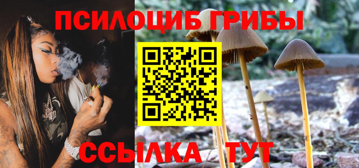 Псилоцибиновые грибы MAGIC MUSHROOMS  Вход с VPN  Зеленокумск 